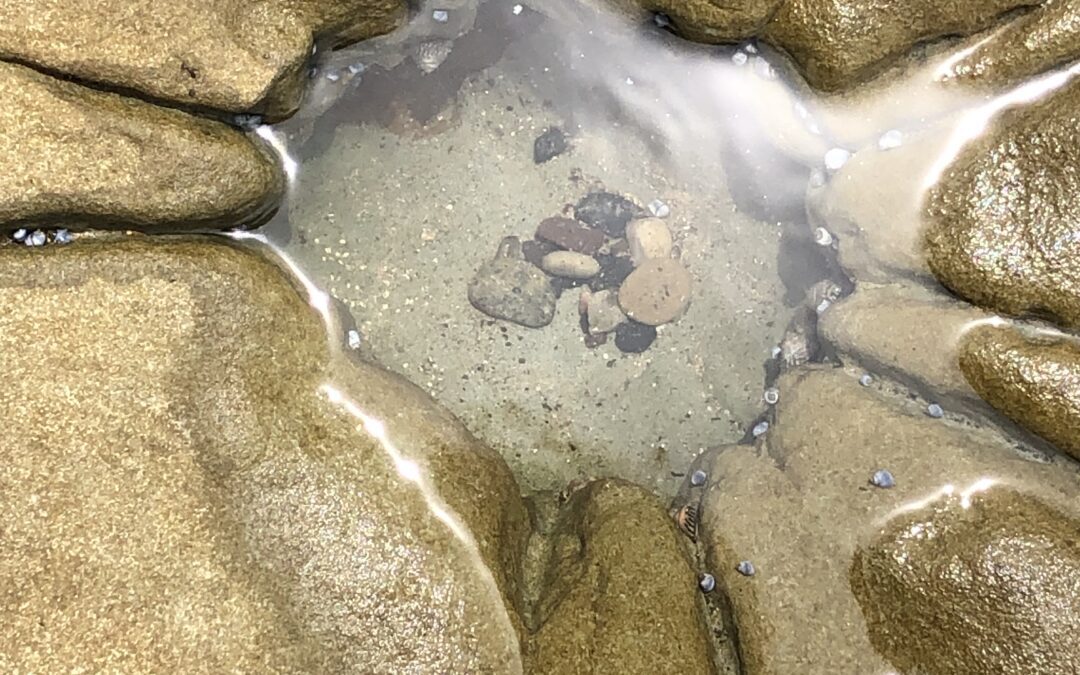 Collaroy and Dee Why – old pools and new pools