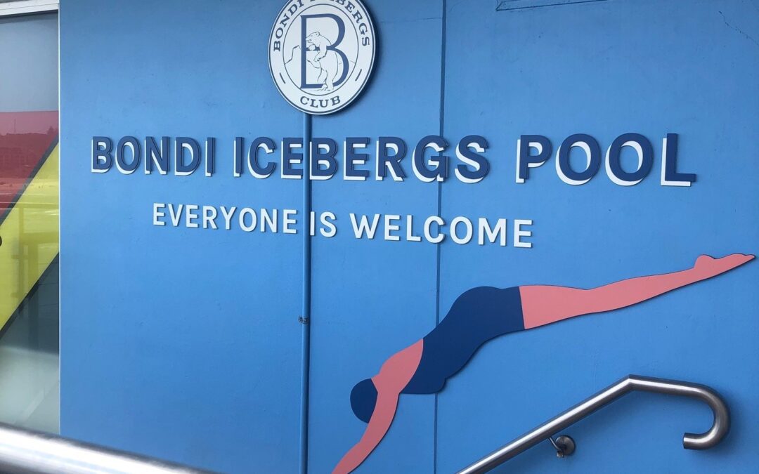 Bondi Icebergs – the star of the show